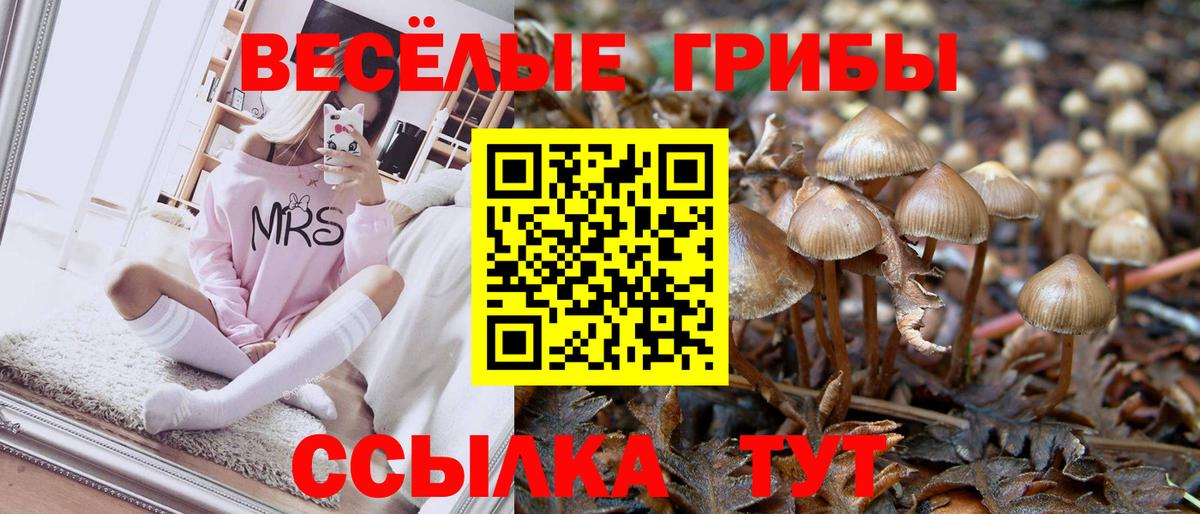 Галлюциногенные грибы Psilocybine cubensis  Вход с VPN  Тайшет 